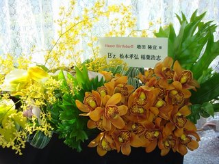 flower2011_2_26.jpg
